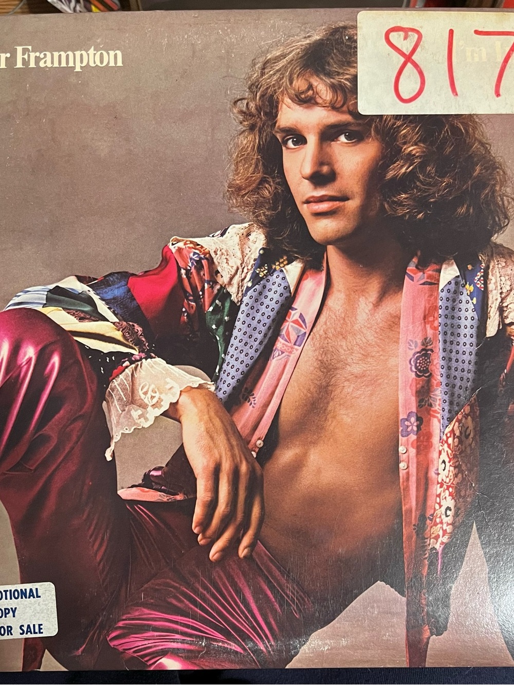 Peter Frampton– I'm In You (Rock)